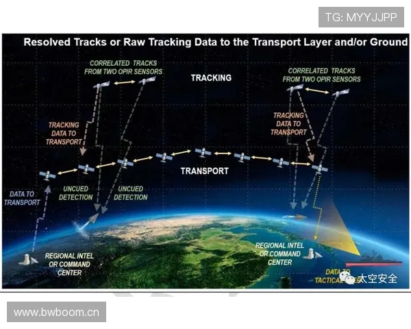 巴尔科拉是否被高估？数据与战术角色解析
