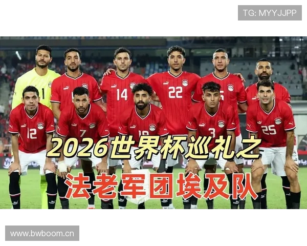 埃及队能否突破非洲区预选赛重围晋级2026世界杯
